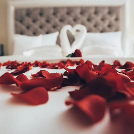 - The Niu, Amity By Ihg פוטסדאם